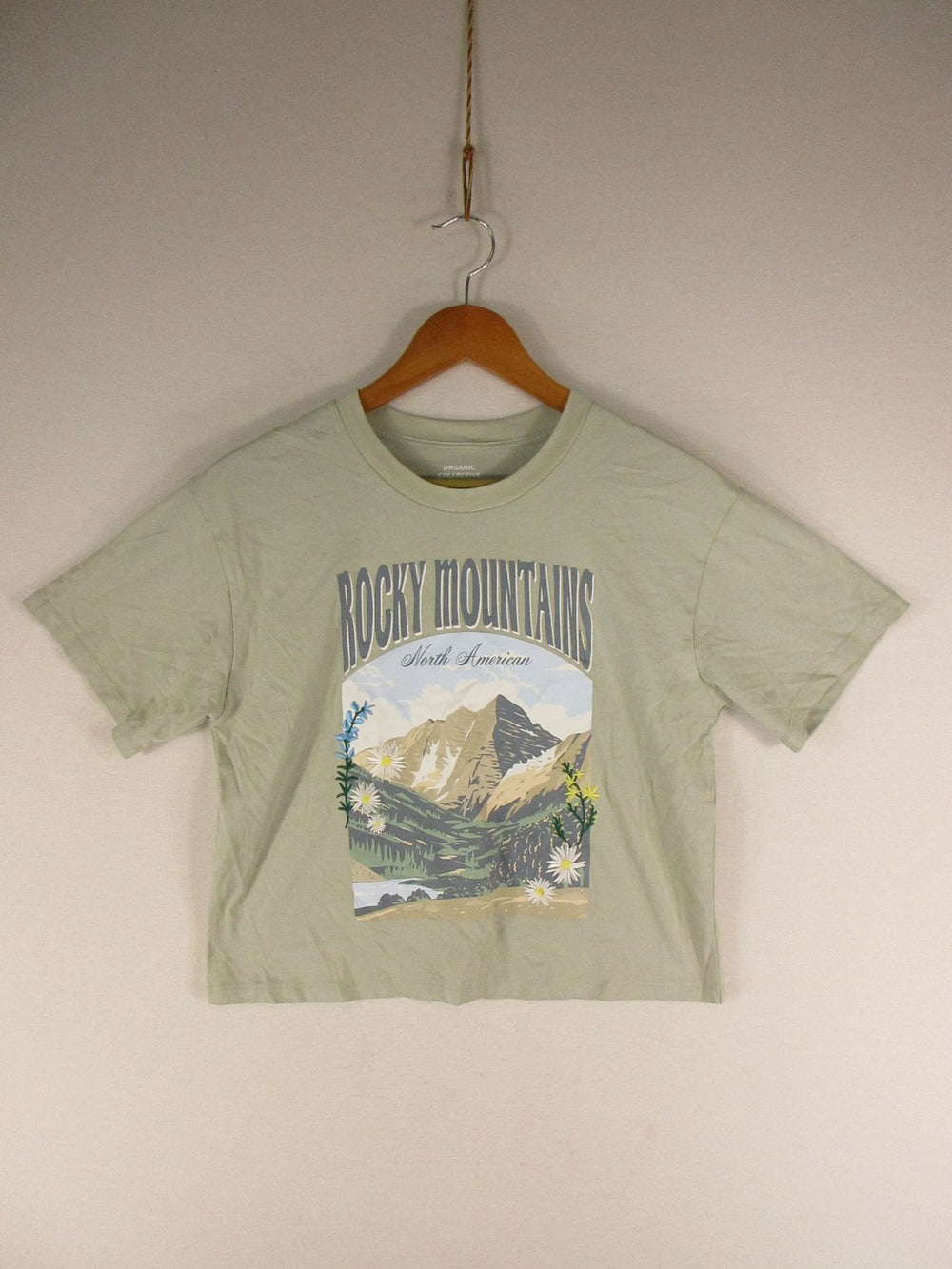 Organic Collective T-Shirt Womens S Rocky Mountains Graphic Sage Boxy Crop Tee