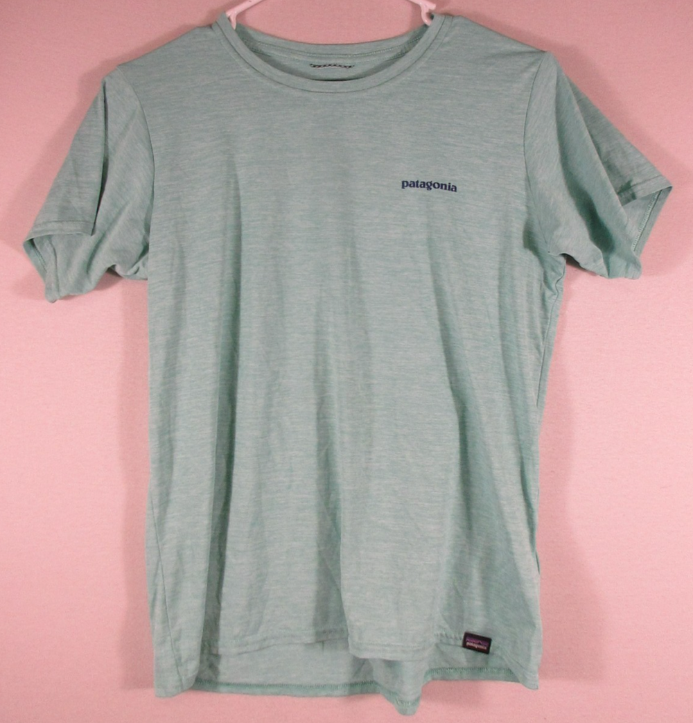 Patagonia Mens Casual Logo Graphic T-Shirt Round Neck Short Sleeve Size S Green